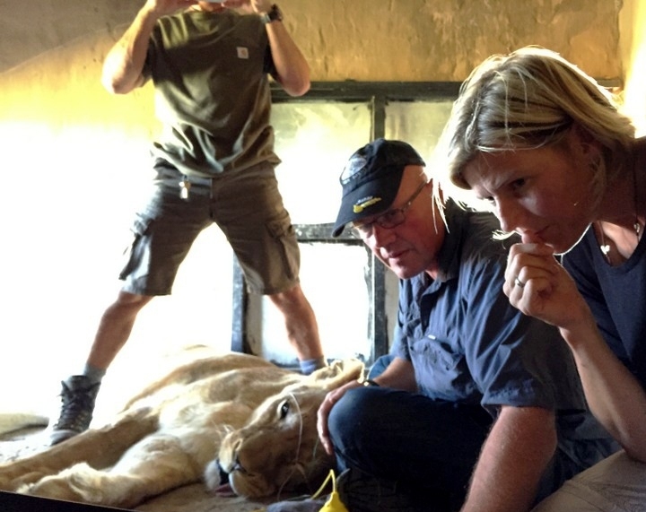 What is your diagnosis